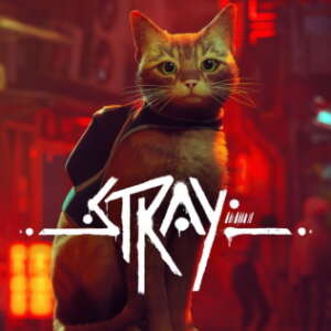 STARY | game soft copy